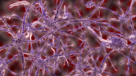 Purple neuron synapses.