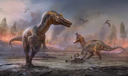 An artist's impression of two bipedal carnivorous dinosaurs fighting over a successful hunt.
