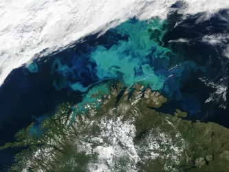 satellite image of the Barents Sea