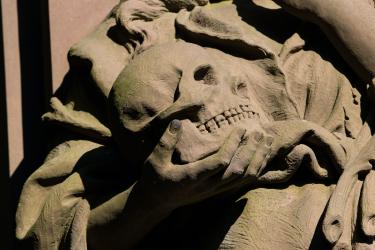 Image zoomed into the skull of a stone statue.