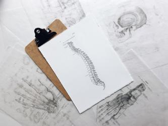 Image of some medical drawings of the spine.