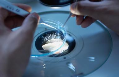 Image of a petri dish under a microscopic light.