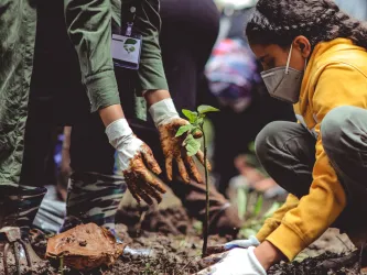 Pexels image of a young person learning how to plant a tree in a forest