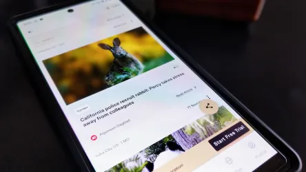 Mobile phone displaying news story about the police recruiting rabbits