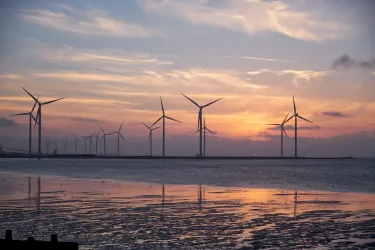 Coastal windturbines at sunset