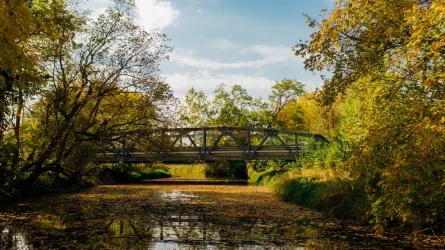 One small wooden bridge over a calm river