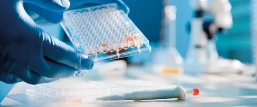 Syringe and petri dish used to analyse samples