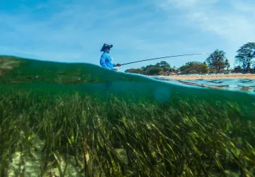 A person with a fishing line standing in the sea with lots of sea kelp 