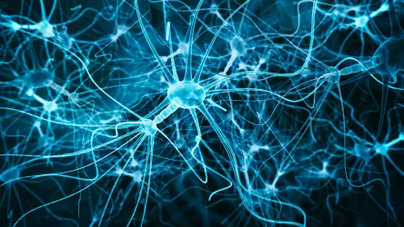 A detailed network of glowing blue neurons with branching structures on a dark background.