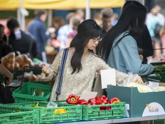 Student shopping for vegetables in the market.