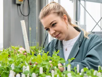 undergraduate biology student studying plant leaves