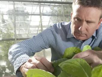 Professor Guy Poppy examining leaves in a plant growth facility