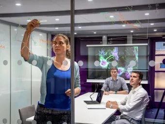 Interdisciplinary researchers working together in the field of Maths and Medicine