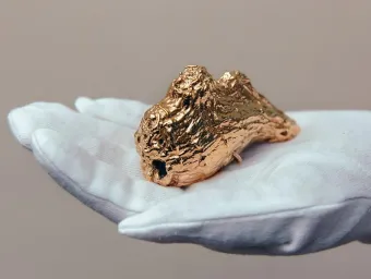 The Gold Nose of Green Ginger exhibit from Hull 2017