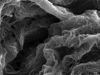 Fibres under microscope zoom