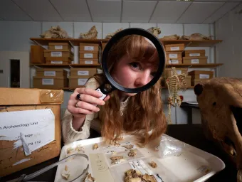 An archaeology student in an archives room, using a magnifying glass to inspect a tray of bones and fossils. The student has red hair and is wearing a cream-coloured knitted sweater. There are more fossils and bones in the background, as well as shelves filled with boxes.