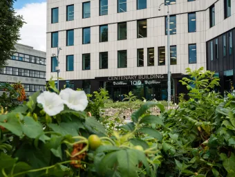 An exterior shot of the Centenary Building, also known as Building 100, on the University of Southampton's Highfield campus. The image is captured from the perspective of a flowerbed, which has several white flowers.