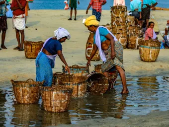 fish market