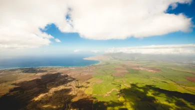 Aerial view of cloud shadows on green landscape