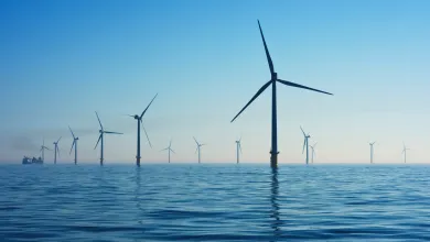 An offshore wind farm.