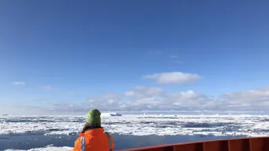 Approaching Antarctica 