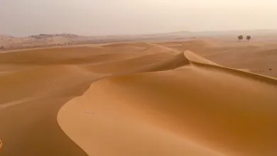 Shifting deserts of Arabia