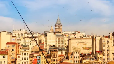 Istanbul skyline, including the famous Galata Tower, with birds soaring above