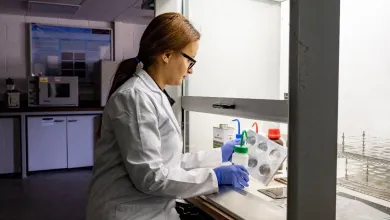 Scientist looking at an assay plate in a fume cupboard