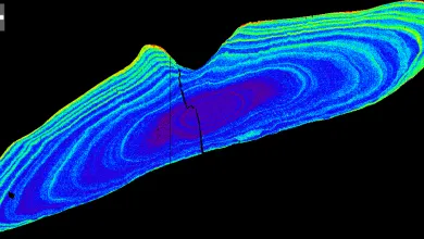 Sr zonation in a fish otolith (ear bone)