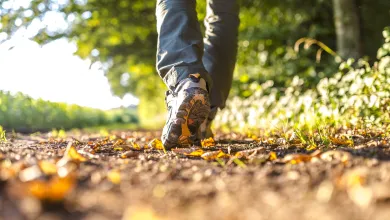 A man walking in a forest
