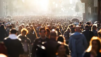 A large crowd of people stretches as far as the eye can see. A low, bright sun highlights a number of individuals who make up the crowd