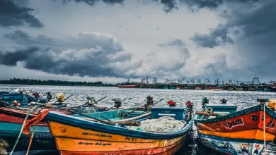 Colourful fishing boats tied up on the shore
