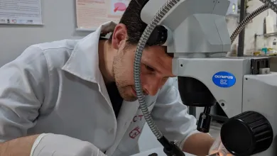 Researcher looking at a fish under a microscope