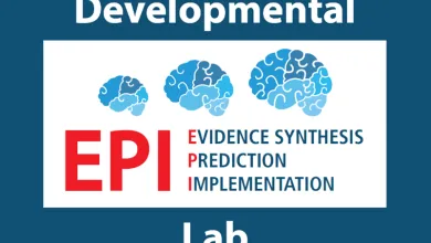 Evidence synthesis prediction implementation with brain image