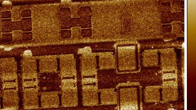 Colour spectre in brown colours