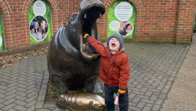 Woody at the zoo