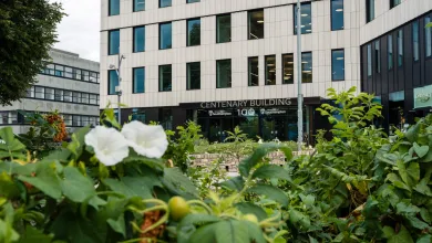 An exterior shot of the Centenary Building, also known as Building 100, on the University of Southampton's Highfield campus. The image is captured from the perspective of a flowerbed, which has several white flowers.