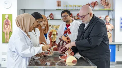 Medical students in lab coats examining anatomical organ models together.
