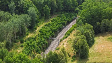 Curved railway tracks running through a green forest landscape on a sunny day.