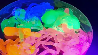 Various slimes in a dish glowing under ultraviolet light