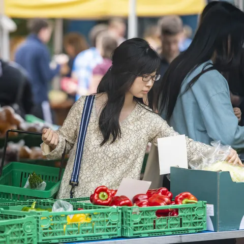 Student shopping for vegetables in the market.
