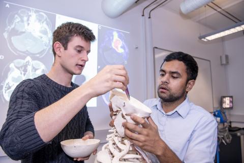 Two students look inside a human skull in the clinical skills suite