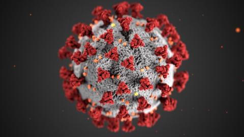 A simulated close-up image of the COVID-19 coronavirus.