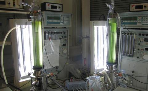A number of photobioreactors in a laboratory setting