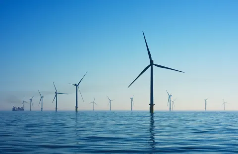 An offshore wind farm.