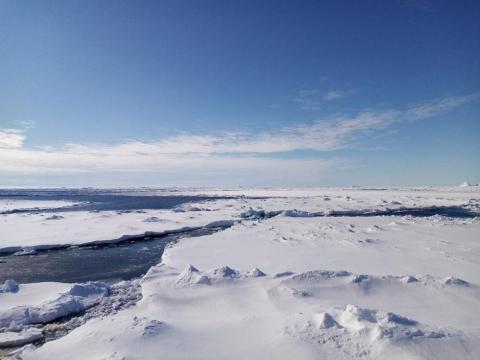 Sea ice in the Amundsen Sea, Antarctica