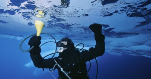A scuba diver checking their pressure gauge as they float in the sea beneath a layer of ice.