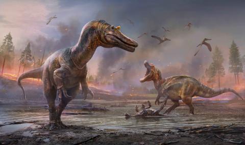 An artist's impression of two bipedal carnivorous dinosaurs fighting over a successful hunt.