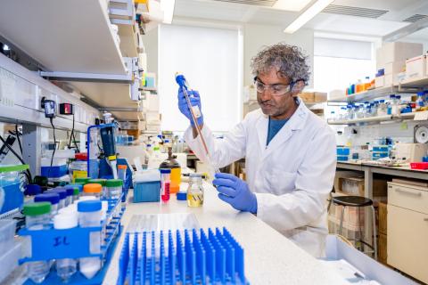 Professor Nullin Divecha working at a lab bench, surrounded by various containers and equipment.