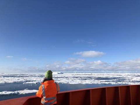 Approaching Antarctica 